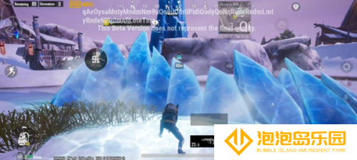 pubg国际服