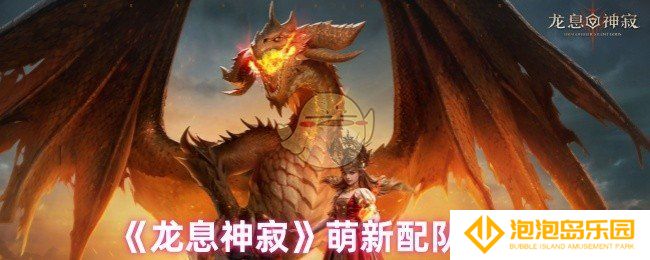 龙息神寂新手怎么配队-萌新配队指南