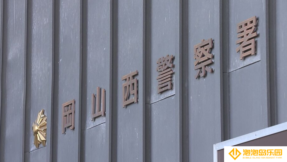 岛国男子贴假冒标签骗购手办被捕 去年起多次犯案