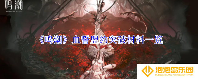 鸣潮血誓盟约突破材料有哪些-血誓盟约突破材料一览