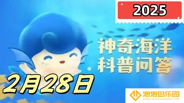 海豚有牙齿吗-神奇海洋2月28日答案最新2025