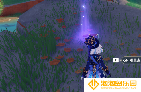 《原神》5.5版本新增观景点位一览