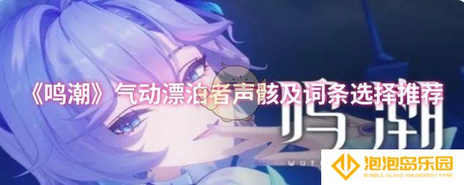 鸣潮气动漂泊者声骸及词条怎么选择-气动漂泊者声骸及词条选择推荐