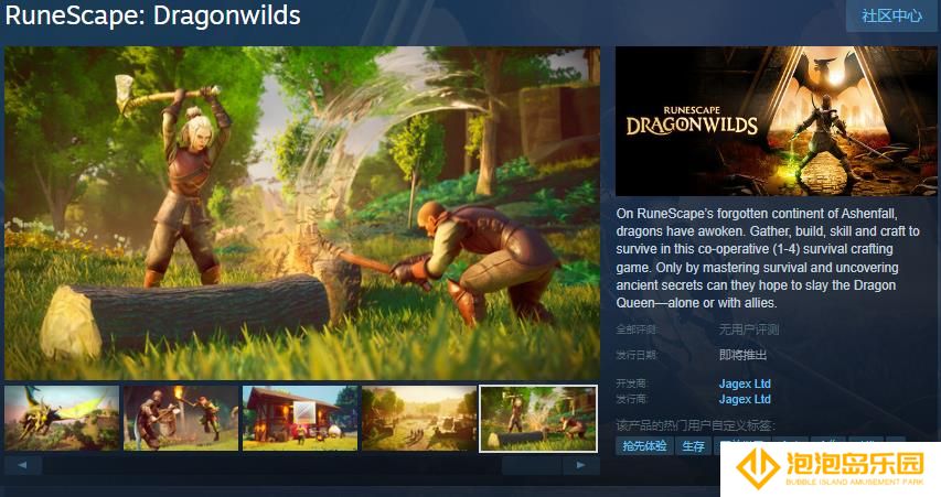 合作生存游戏《RuneScape: Dragonwilds》Steam页面 发售日待定
