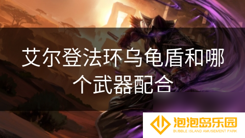 艾尔登法环乌龟盾和哪个武器配合