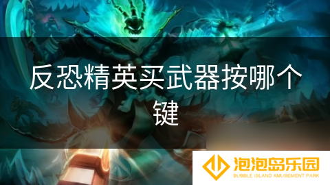 反恐精英买武器按哪个键