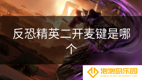 反恐精英二开麦键是哪个