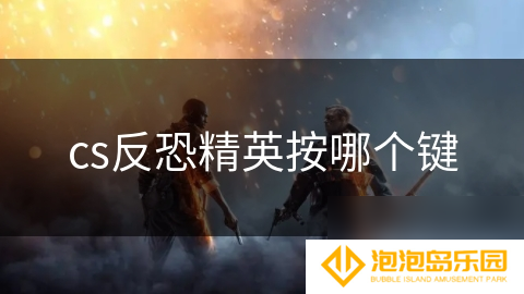 cs反恐精英按哪个键