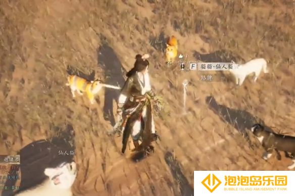 《燕云十六声》猫瘾患者奇遇攻略