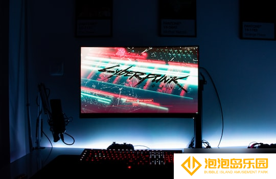 怎么做植物大战僵尸卡套 玩具开箱植物大战僵尸卡片