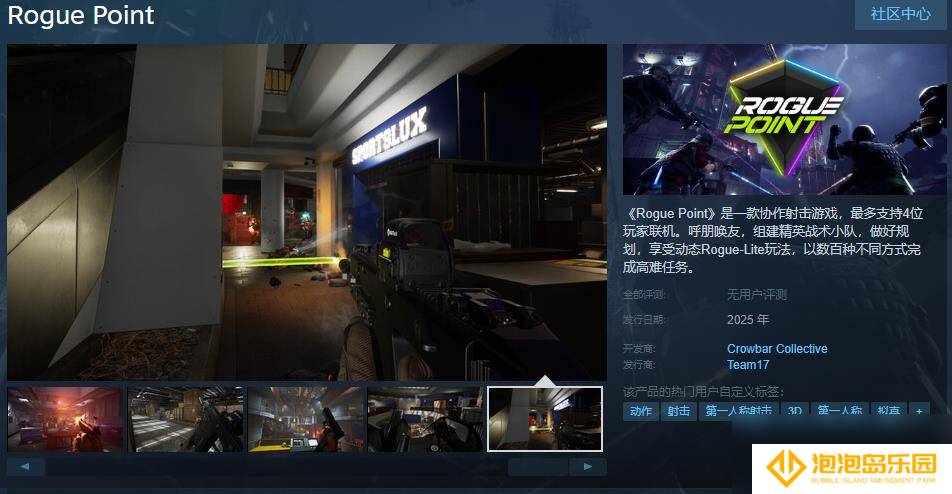 协作射击游戏《Rogue Point》Steam页面上线 2025年正式发售